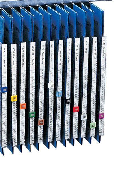 ELBA Organisationsstreifen, aus 160 g/m² Karton, zum Einstecken in Pendelsichtleisten 100420918 und 100420919, perforiert für 60 Streifen, weiß, blanko ohne Text