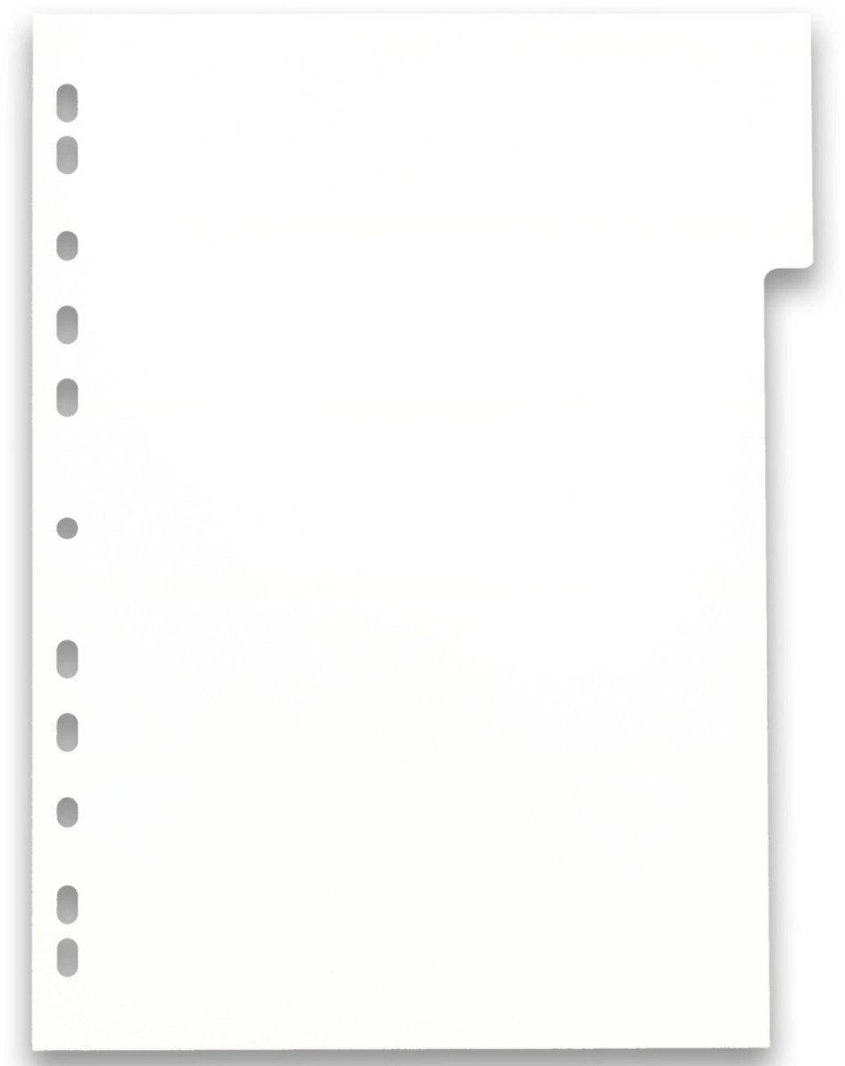 Oxford Register "myColour" A4, PP-Stärke 300 my, 12 Blatt, sortierte Packung